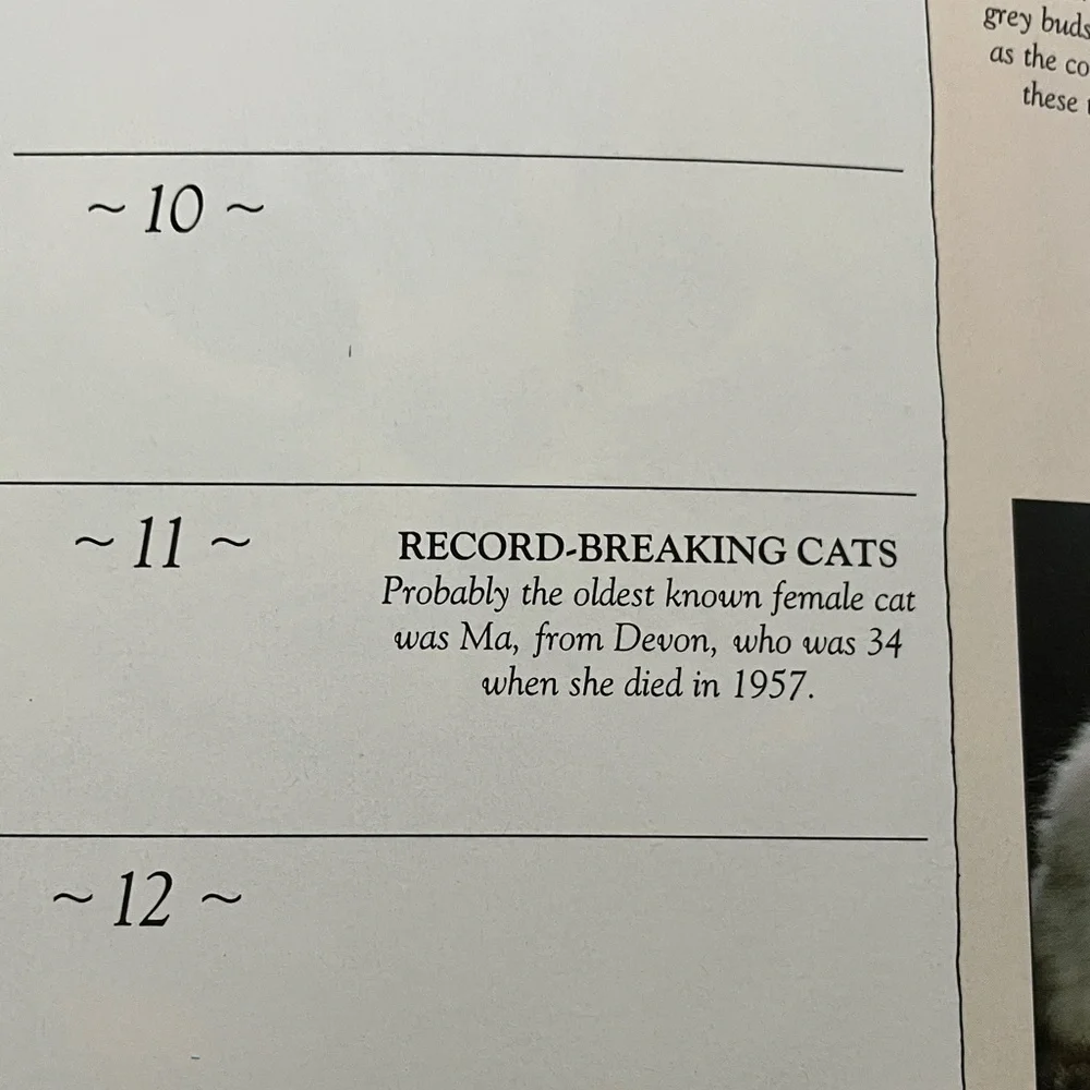 Calendar Desk Book